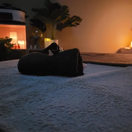 Hotel Relais Saint Michel Villegusien-le-Lac