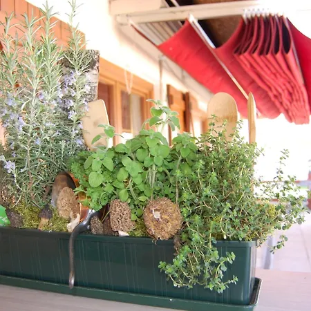 Relais Michel Hotel Villegusien-le-Lac