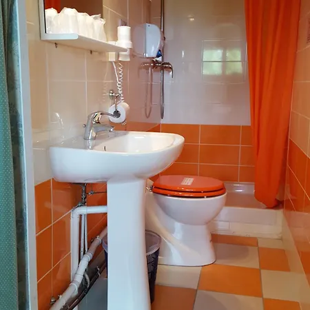 Relais Michel Hotel Villegusien-le-Lac