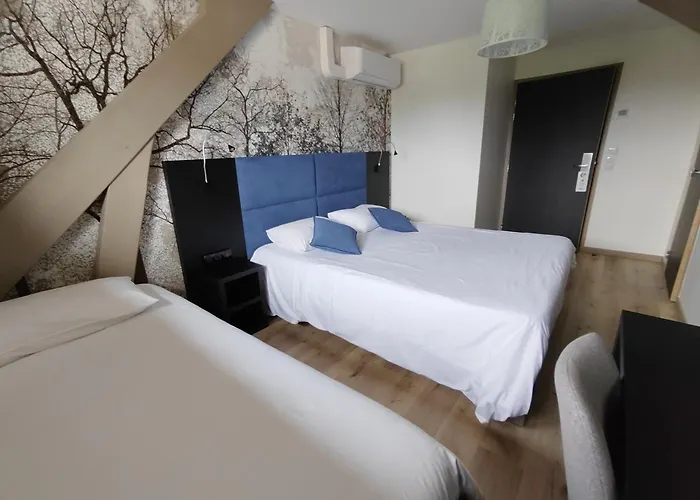 Hotel Relais Saint Michel Villegusien-le-Lac